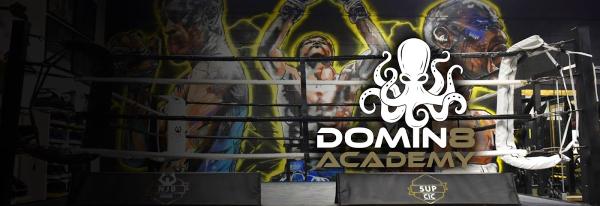 Domin8 Academy
