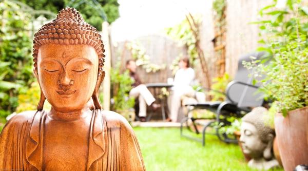 Ayurveda & Meditation Retreat