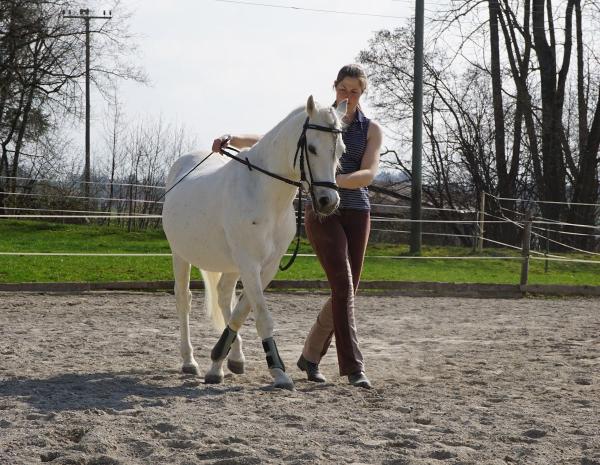 Lucy Middleton Classical Dressage