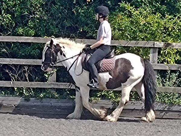 Foxglove Farm Childrens Riding Holidays Ltd