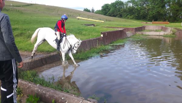 Tullymurry Equestrian Centre