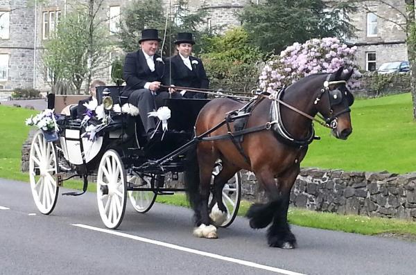 Studlea Equestrian Centre