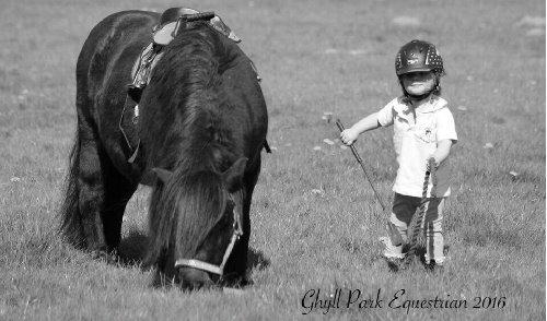 Ghyll Park Equestrian