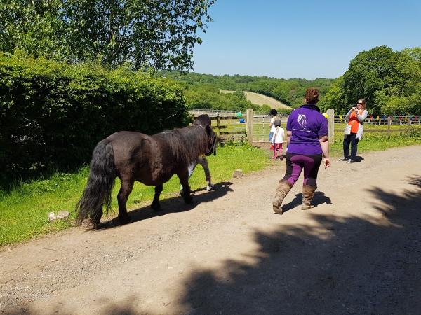 Ghyll Park Equestrian