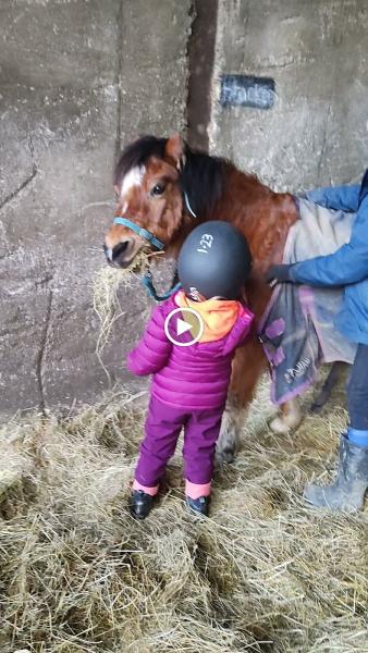 Bryngwyn Riding Centre