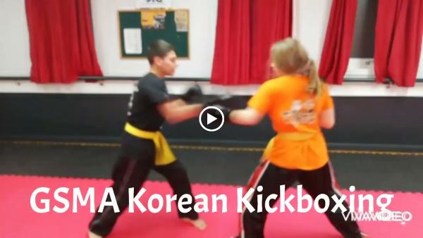 Garry Shaw Martial Arts -Gsma