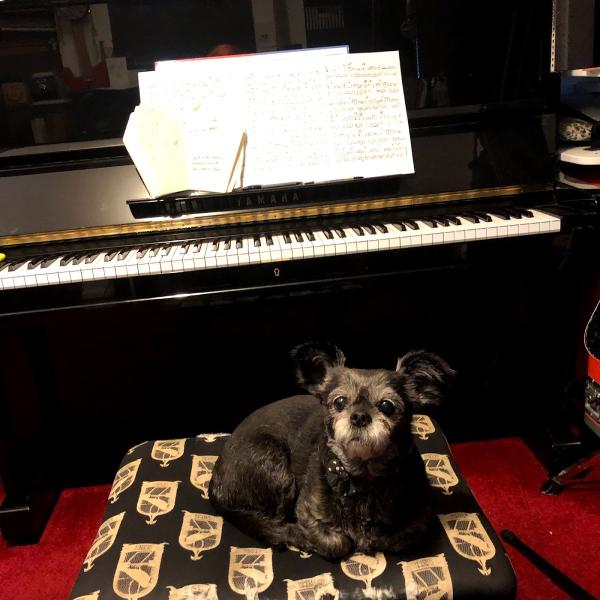Mishkin's Piano Lessons / the Nest Studios