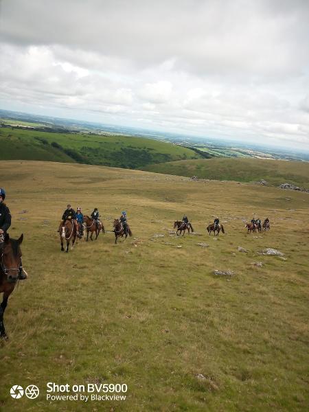 Dartmoor Riding Holidays