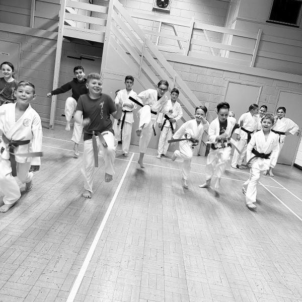 Lincoln Karate School