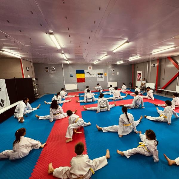 Dacic Taekwondo London