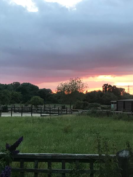 Barnfields Riding Stables