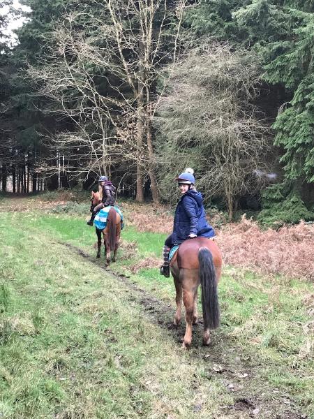 Putley Riding School