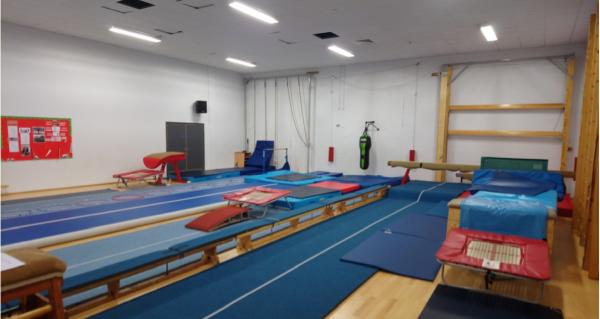 Swan Gymnastics Academy