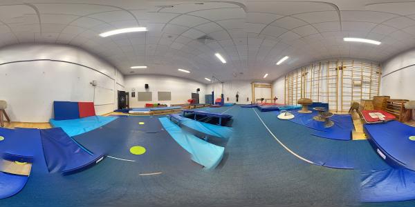 Swan Gymnastics Academy