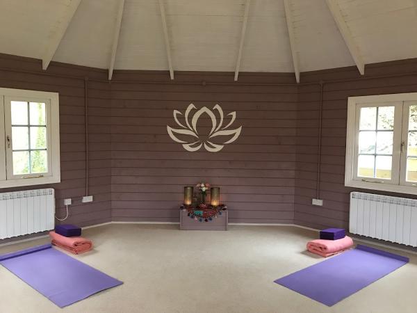 Bindu Yoga Centre