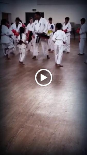 Karate Goju Ryu Kobudo