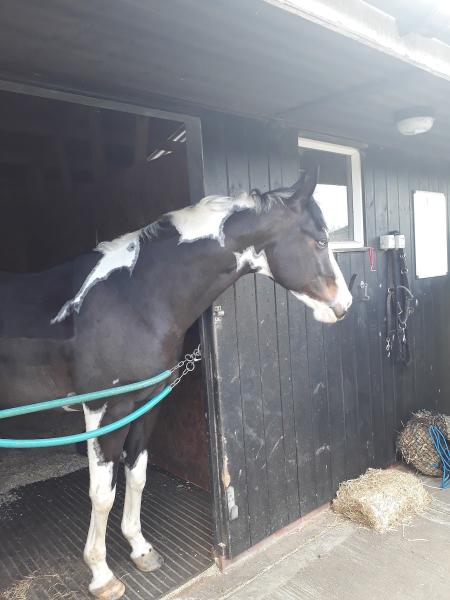 Runningwell Equestrian Centre