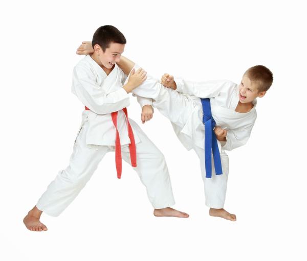 Gosforth Karate Club