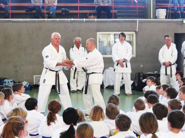 Kimura Shukokai Karate Surrey