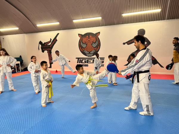 Tigers Taekwondo Academy