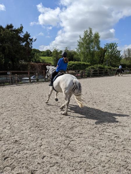 Grovely Riding Centre