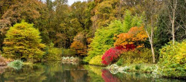 The Devon School of Mindfulness