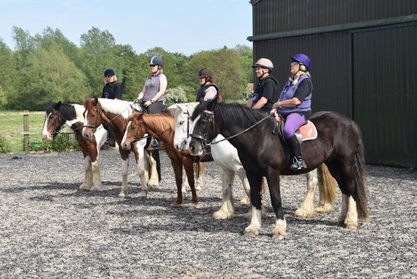 Valley Farm Equestrian Leisure