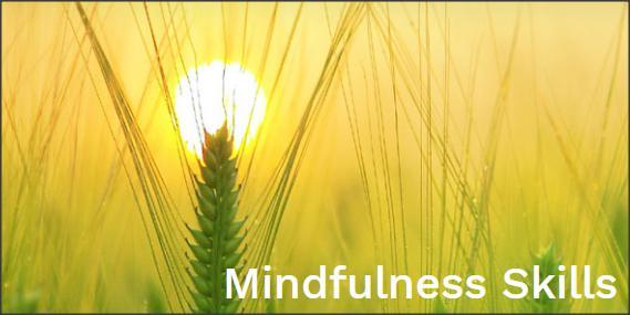 Mindfulness Skills