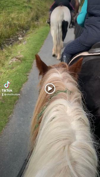 Grange Pony Trekking