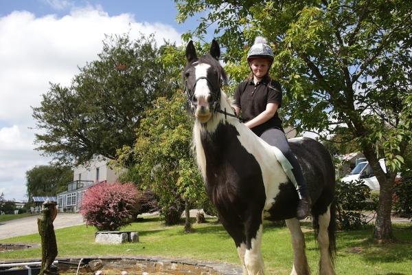 Great Trethew Trekking & Pony Clubs