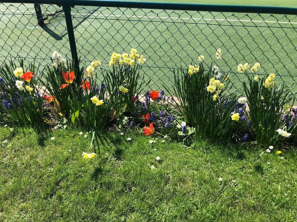 Hatch End Tennis Club