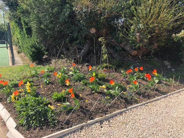 Hatch End Tennis Club