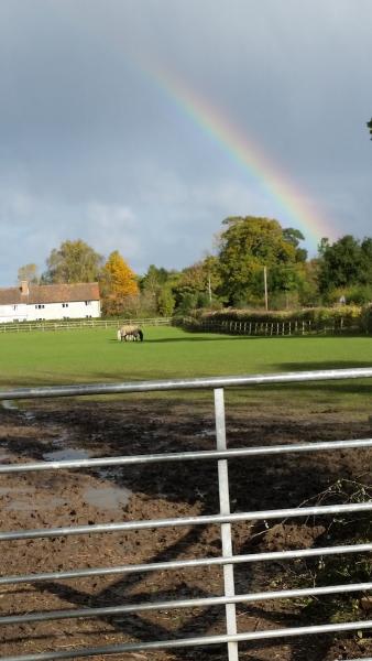 Manor Farm Riding School