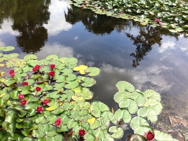 Clearlight Yoga With Lucia Moat