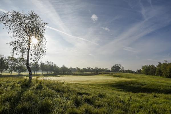 Ashbourne Golf Academy