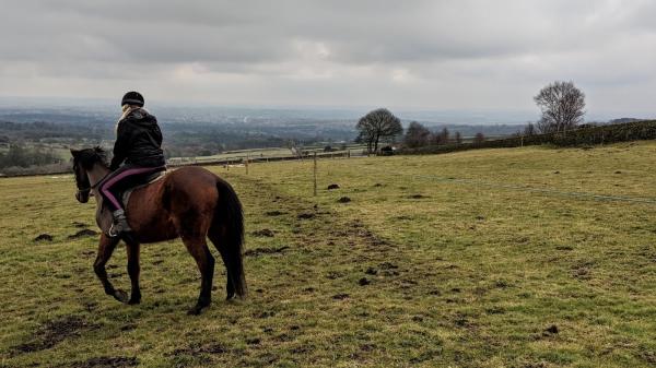 Holymoor Riding School