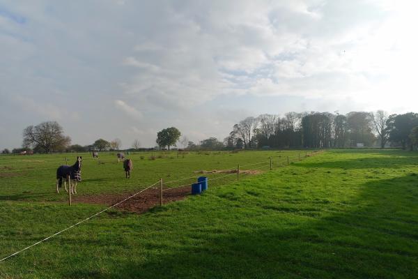 Home Farm Livery Stables