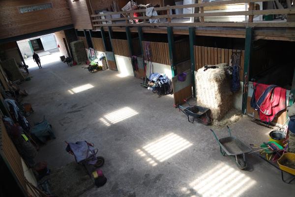 Home Farm Livery Stables