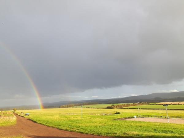 Rockrose Equestrian Sports Centre Ltd