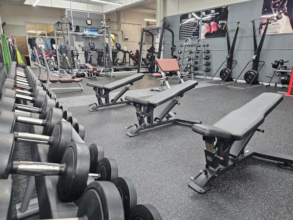 Fit Bodies Gym & Fitness