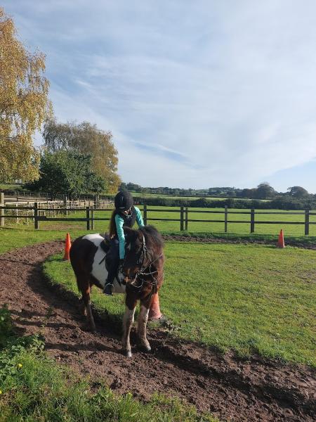 Little John Paddocks