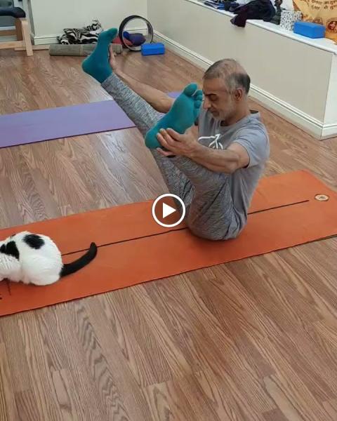 Aurorayogi Ashtanga Yoga