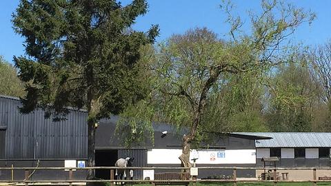 Burstow Park Riding Centre