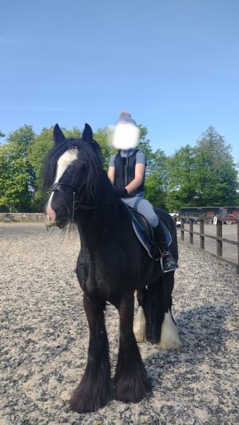 Burstow Park Riding Centre