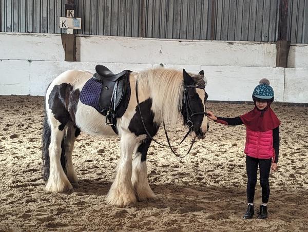 Burstow Park Riding Centre