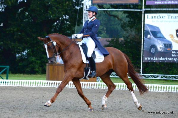 Weymarsh Dressage & Rehabilitation