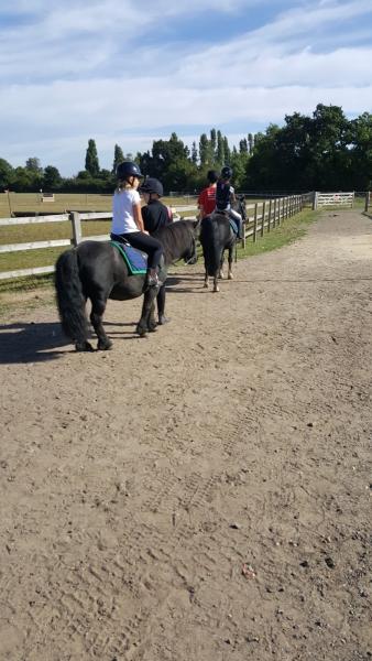 Chelmsford Equestrian Centre