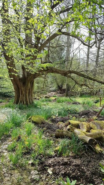 Rivendell Buddhist Retreat Centre