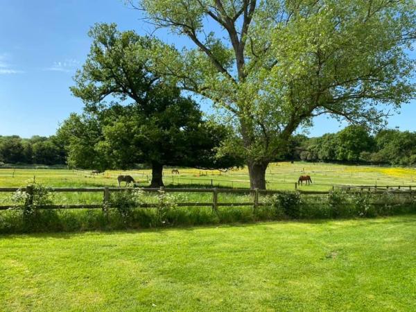 Upminster Lodge Farm Livery Yard