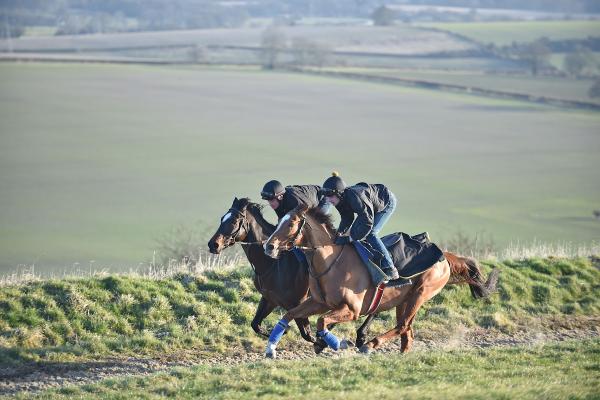 Andrew Balding (Racehorse Trainer)